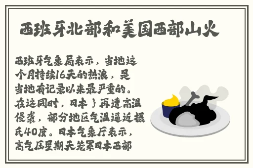 打扑克真实视频